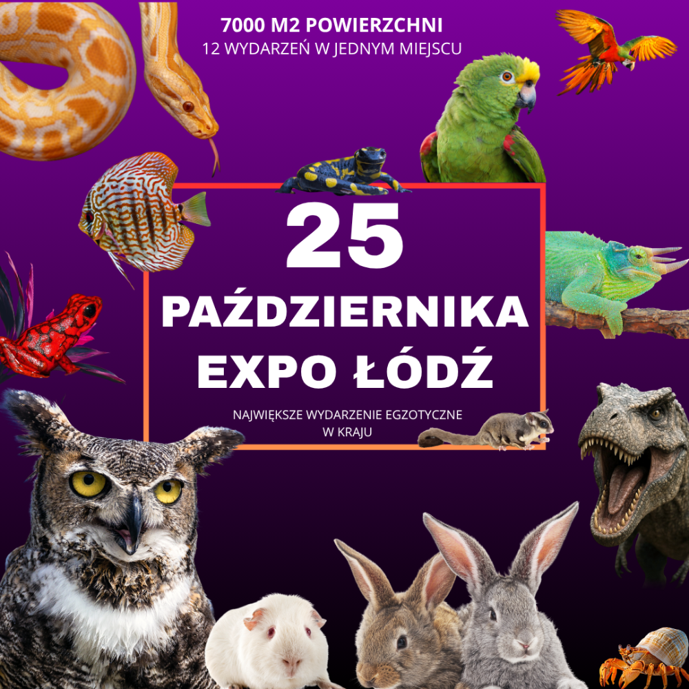 Baner reklamowy: zooegzotyka