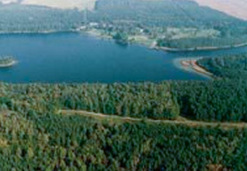 Obiekt: Dolina Strumienia Strzeszyńskiego - Strzeszyn