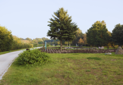 Miejsca wydarzeń - Park. im. Ronalda Reagana