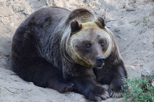 nowe-zoo-w-poznaniu-10.jpg