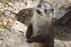 nowe-zoo-w-poznaniu-8.jpg