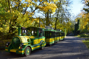 nowe-zoo-w-poznaniu-9.jpg