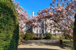arboretum-w-korniku.jpg