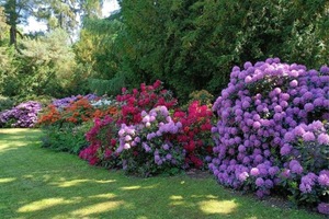 arboretum-w-korniku2.jpg