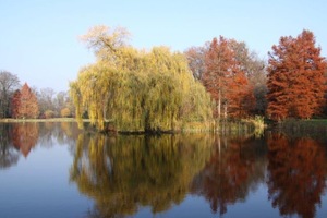 arboretum-w-korniku4.jpg