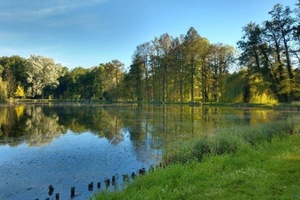 arboretum-w-korniku6.jpg