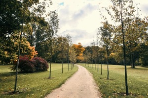 palac-lubostr.jpg