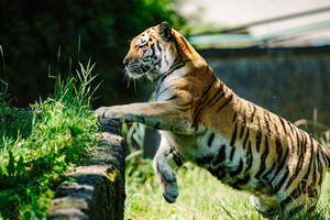 raj20160721-24432.jpg