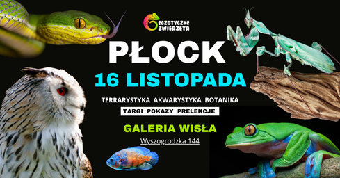 Grafika reklamowa
