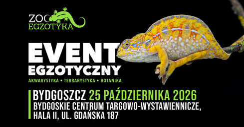 ZooEgzotyka Bydgoszcz