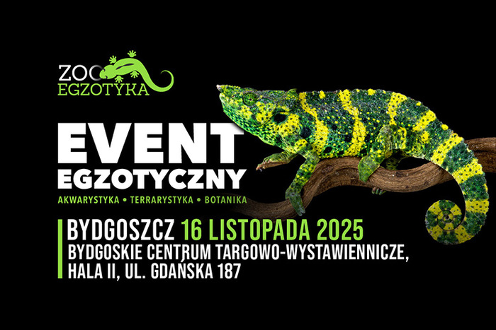 Materiał reklamowy: ZooEgzotyka Bydgoszcz