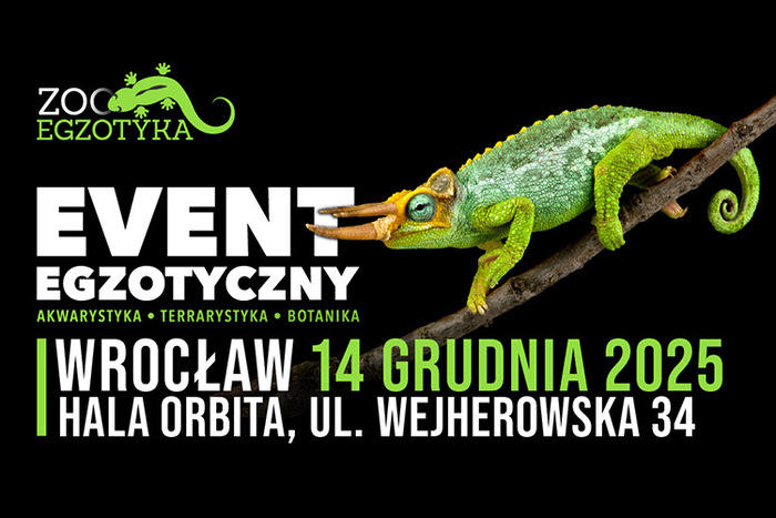 Materiał reklamowy: ZooEgzotyka Wrocław