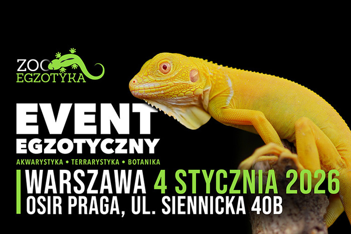 Materiał reklamowy: Zooegzotyka - 4 stycznia, Warszawa