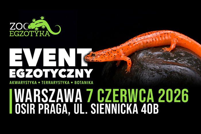 Materiał reklamowy: Zooegzotyka Warszawa 