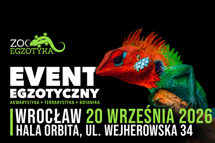 Materiał reklamowy: Zooegzotyka Wrocław