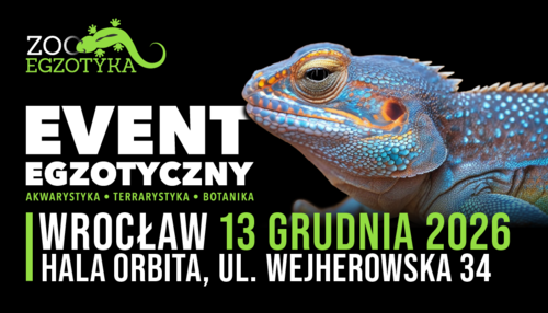 Materiał reklamowy: Zooegzotyka Wrocław