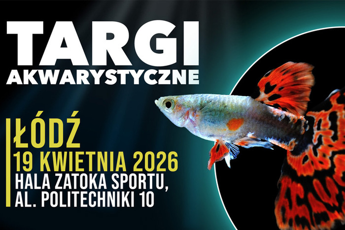 Materiał reklamowy: Targi Akwarystyczne Łódź