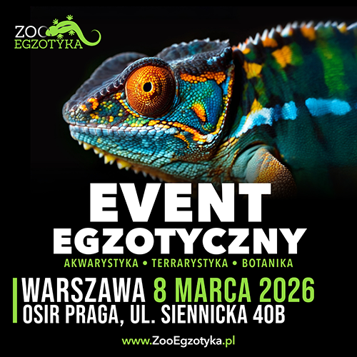 Materiał reklamowy: Zooegzotyka Warszawa