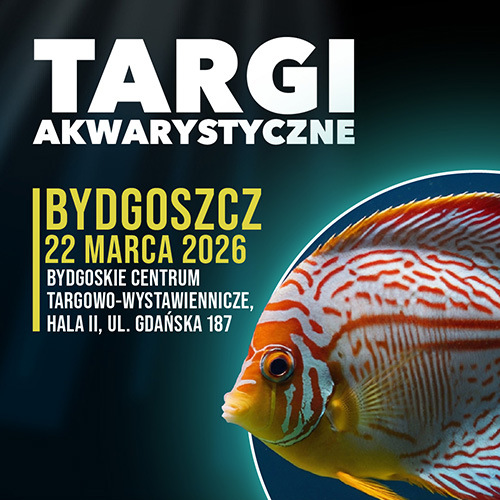 Materiał reklamowy: Targi Akwarystyczne Bydgoszcz