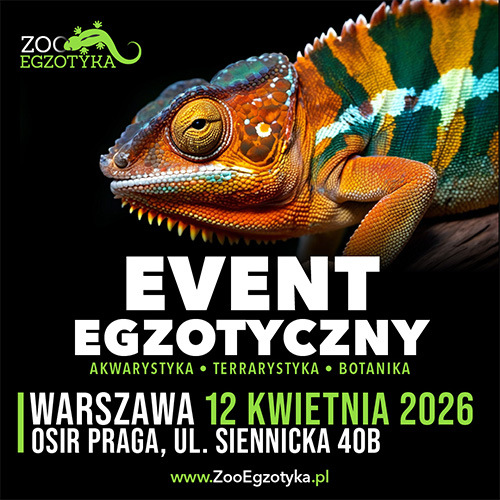 Materiał reklamowy: Zooegzotyka Warszawa 12.04.26