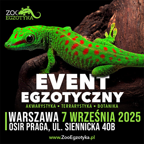 Materiał reklamowy: ZooEgzotyka Warszawa 07.09.2025