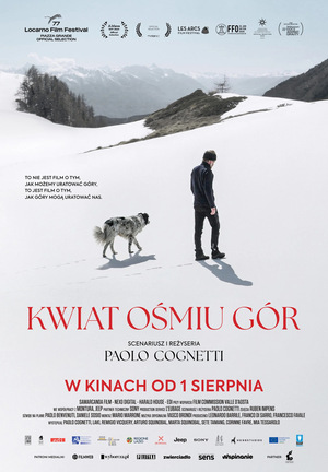Grafika reklamowa