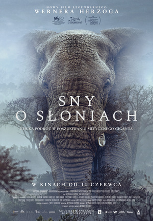 Grafika reklamowa