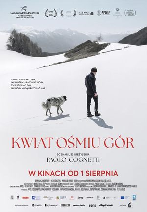 Grafika reklamowa