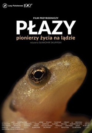 Grafika reklamowa