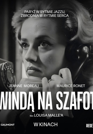 Czarno białe zdjęcie. Portret kobiety odbierającej telefon z przejętym wyrazem twarzy.