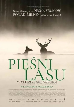 Grafika reklamowa