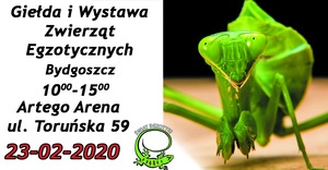 Grafika reklamowa