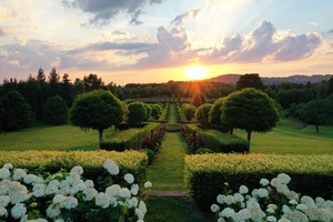 Festiwal EMANACJE | TOŻSAMOŚĆ: Zwiedzanie Arboretum Krzysztofa Pendereckiego