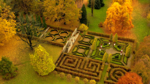 Arboretum - zwiedzanie z przewodnikiem (15:00-16:30)