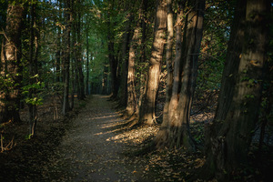 foto: Stanisław Kusiak / ECM KP