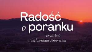 Grafika reklamowa