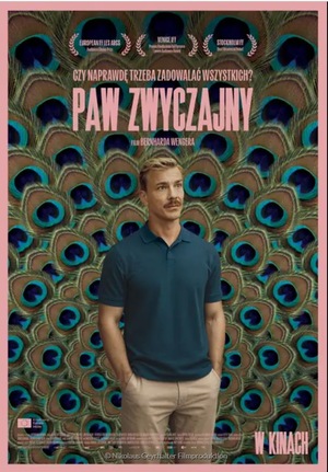 Paw zwyczajny 