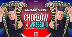 Animals Live Chorzów 14 Września 2025 - Terrarystyka & Akwarystyka & Botanika