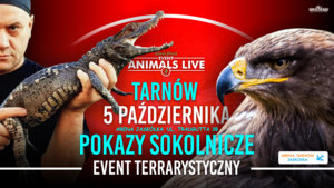 Animals Live TARNÓW - 5 Października 2025 - TERRARYSTYKA & AKWARYSTYKA & BOTANIKA & SOKOLNICTWO 
