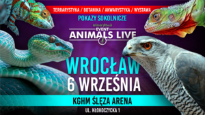 Grafika reklamowa dwie jaszczurki, wąż i jastrząb.