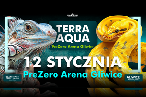 Grafika reklamowa