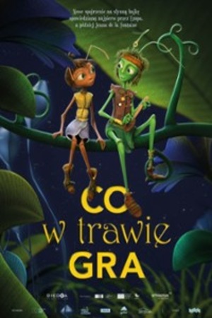 CO W TRAWIE GRA