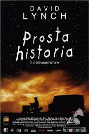 PROSTA HISTORIA - DKF KOT - odrestaurowana kopia