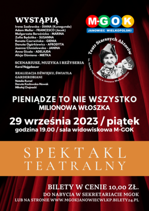 PIENIĄDZE TO NIE WSZYSTKO - MILIONOWA WŁOSZKA 