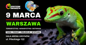 WARSZAWA - 12 STYCZNIA - EGZOTYCZNE ZWIERZĘTA - TERRARYSTYKA AKWARYSTYKA BOTANIKA