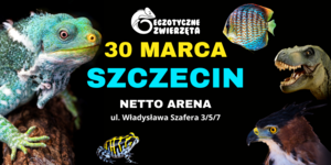 EGZOTYCZNE ZWIERZĘTA - SZCZECIN 30 MARCA - TERRARYSTYKA AKWARYSTYKA BOTANIKA