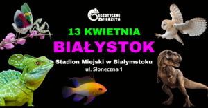 BIAŁYSTOK 13 KWIETNIA - EGZOTYCZNE ZWIERZĘTA - TERRARYSTYKA AKWARYSTYKA i wiele więcej