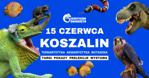 KOSZALIN 15 CZERWCA - Egzotyczne Zwierzęta - TERRARYSTYKA AKWARYSTYKA BOTANIKA i wiele więcej
