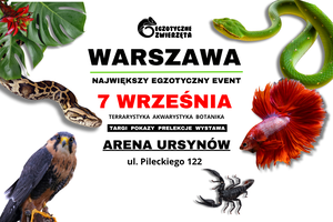 WARSZAWA 7 WRZEŚNIA - Egzotyczne Zwierzęta - TERRARYSTYKA AKWARYSTYKA BOTANIKA i wiele więcej