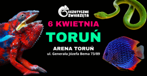 TORUŃ 6 KWIETNIA - EGZOTYCZNE ZWIERZĘTA - TERRARYSTYKA AKWARYSTYKA BOTANIKA